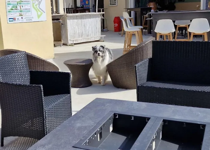 Spacieux 9 Pers Avec Terrasse - Api-1-52-1956 אתר קמפינג *