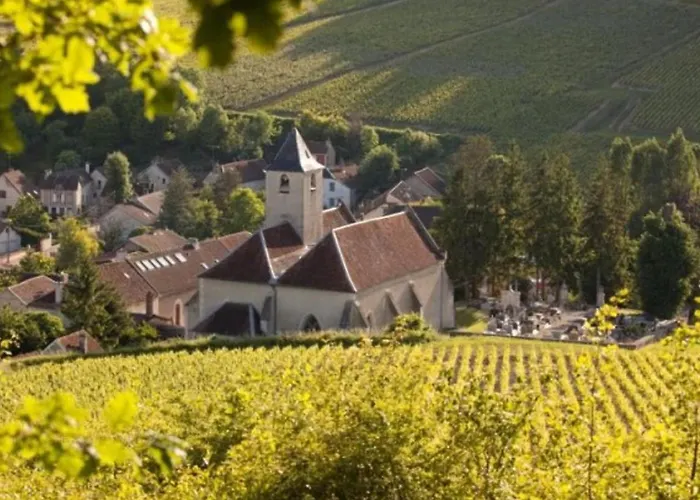 Spacieux 9 Pers Avec Terrasse - Api-1-52-1956